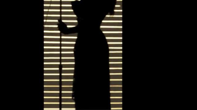 white christmas - GIBSON 175 jazz duet - voice and guitar смотреть онлайн