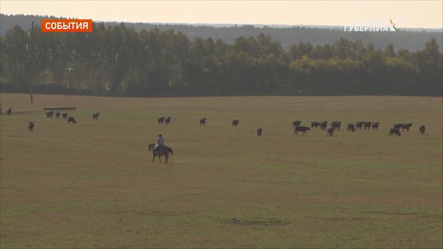 «Мираторг» расширяет образовательную программу для студентов-аграриев смотреть онлайн