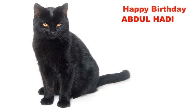 AbdulHadi Cats Gatos - Happy Birthday смотреть онлайн