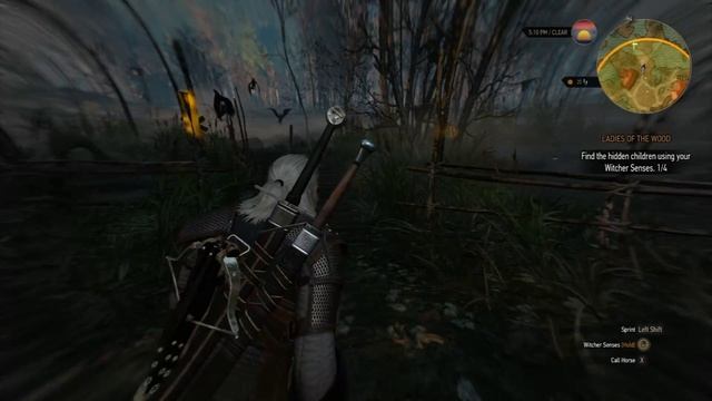 Hide N Seek - The Witcher 3 Wild Hunt PC Playthrough Part 38 смотреть онлайн