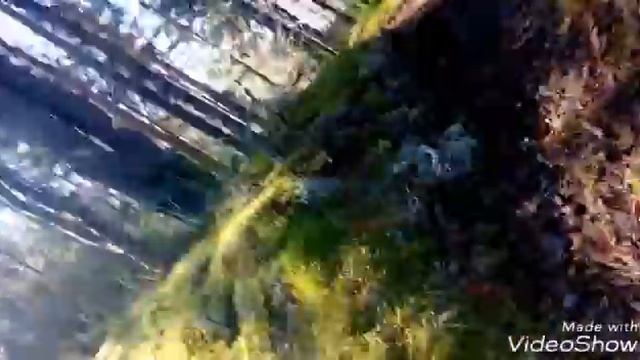 На рыбалке 2 дня в лесу рядом с речкой смотреть онлайн