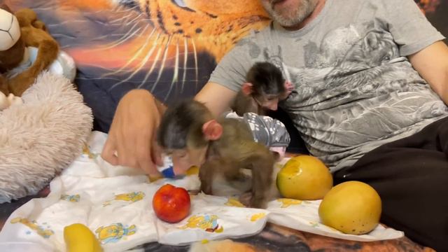 Я привез Степашке в подарок трусы БЭТМЕНА и познакомился с Маняшей! смотреть онлайн