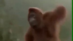 я танцую !Орангутанг .Когда выходные........