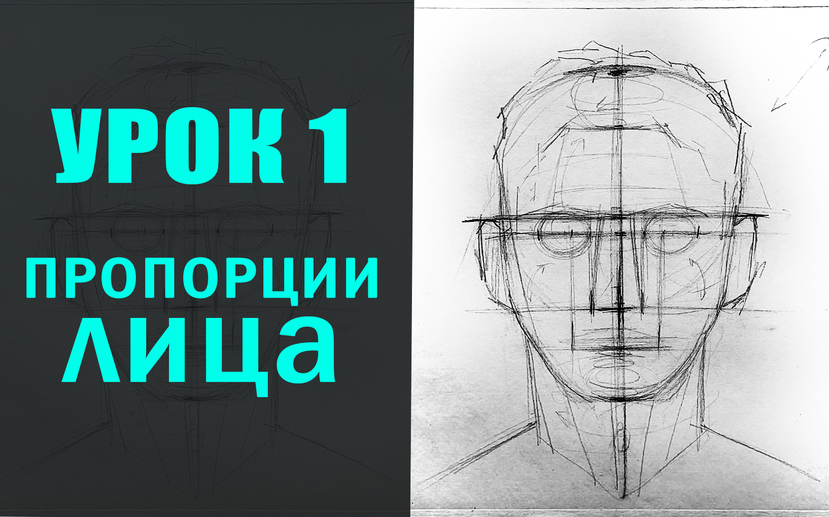 Как нарисовать лицо человека? УРОК 1. ПРОПОРЦИИ ЛИЦА. смотреть онлайн