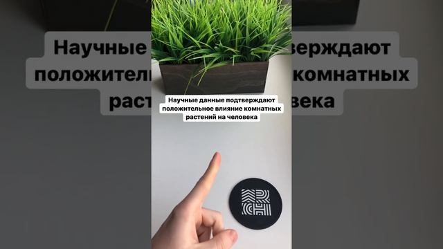 Как комнатные растения влияют на здоровье? смотреть онлайн