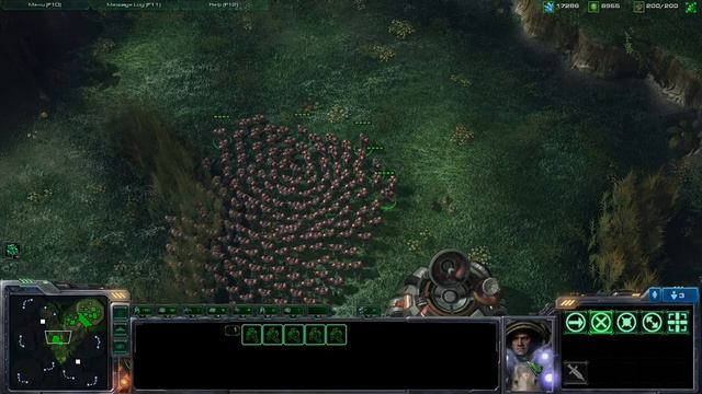 Crowd behavior in Starcraft 2 смотреть онлайн