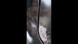 Снятие антенны KIA SORENTO, ремонт своими руками