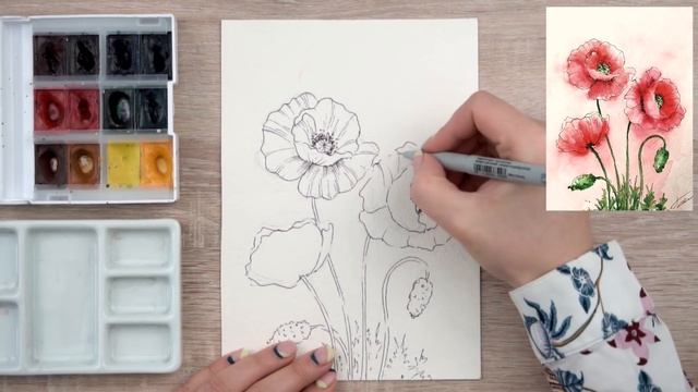 Как нарисовать маки. Уроки рисования. Скетчинг для начинающих. смотреть онлайн