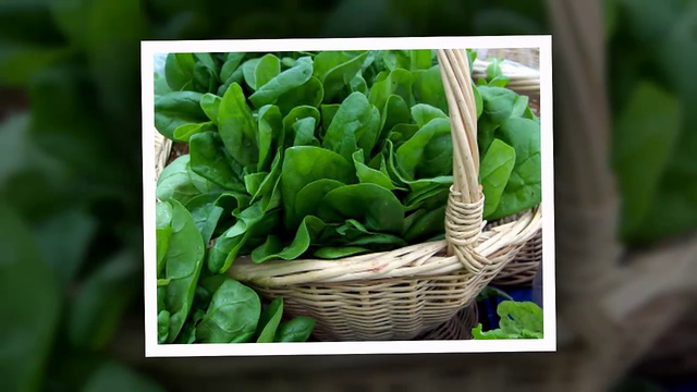 Как сохранить молодость 5 помощников сохранить вашу молодость смотреть онлайн