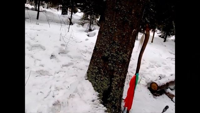 Аномальная зона Шушмор. Змеиный камень смотреть онлайн