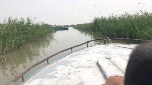 Озеро Балхаш. Копбирлик . Низовья Каратала.