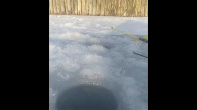 Зимняя Рыбалка На Карася смотреть онлайн