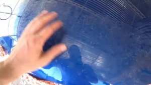 Быстрый способ как удалить старую бронепленку с авто