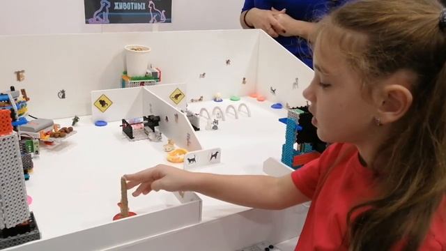 Роботизированный приют для домашних животных (презентация) смотреть онлайн