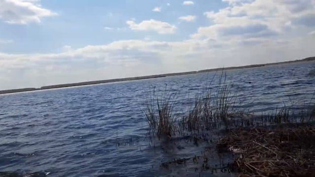 08.05.21 окрестности тольятти, ставропольский район верхний сускан, залив волги, поехали на рыбалку смотреть онлайн