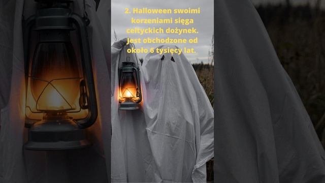3 CIEKAWOSTKI O HALLOWEEN #shortvideo #ciekawostki #geografia #historia #halloween смотреть онлайн