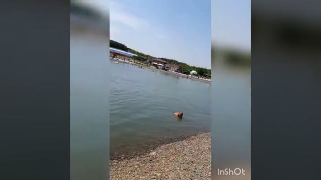 Пляж Мадагаскар Семилуки Воронежская областт смотреть онлайн