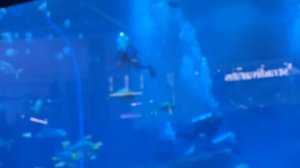 КАМИЛЬ и АМИНА УЕХАЛИ ОТДЫХАТЬ! КУДА МЫ ПОЛЕТЕЛИ? НОВЫЙ ВЛОГ от КИКИДО!