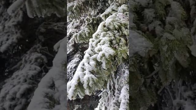 Вот это сосулька... смотреть онлайн