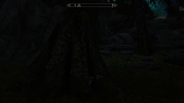 Skyrim Special Edition - Mesmerizing Clear Night Sky In Skyrim