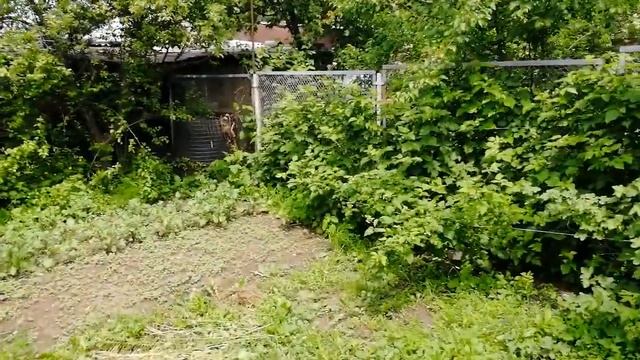 Продажа 3-комнатного дома в Алматы, мкр. Достык, 2 этажа, 120 м², 6 соток. (Видео: участок) смотреть онлайн