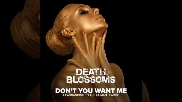 Don't You Want Me - Instrumental смотреть онлайн