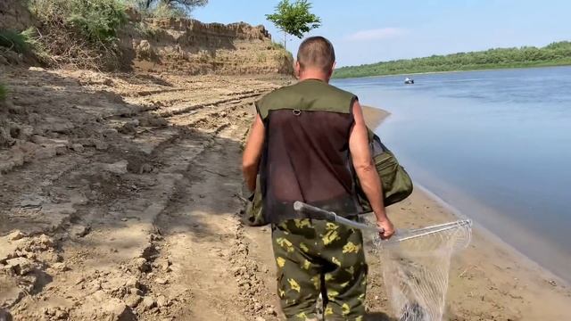 Закидушки на Сазана. Ахтуба июль 2020. смотреть онлайн