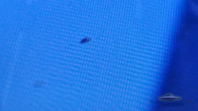 UFO Minsk / НЛО Минск 2013 смотреть онлайн