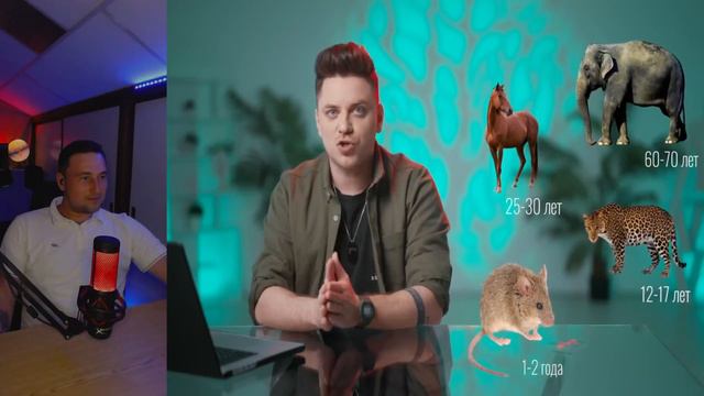 Ghost Play РЕАКЦИЯ ВРЕМЯ ЕЩЕ НЕ ПРИШЛО Utopia Show Досмотрите до конца смотреть онлайн