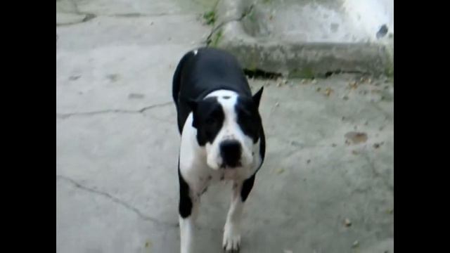 Счастье есть! смотреть онлайн