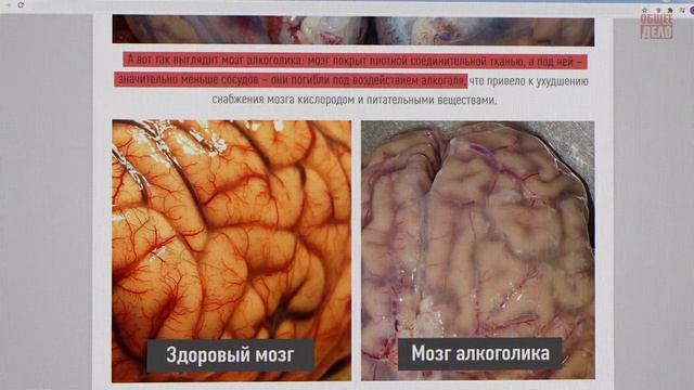 Илья Подгорный.