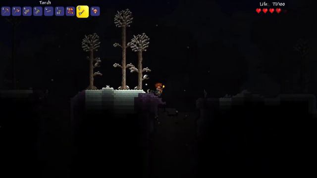 Terraria  Tremor Mod Ep1 Woden Shield