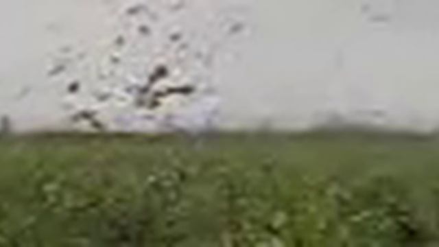 Iron Impact смотреть онлайн