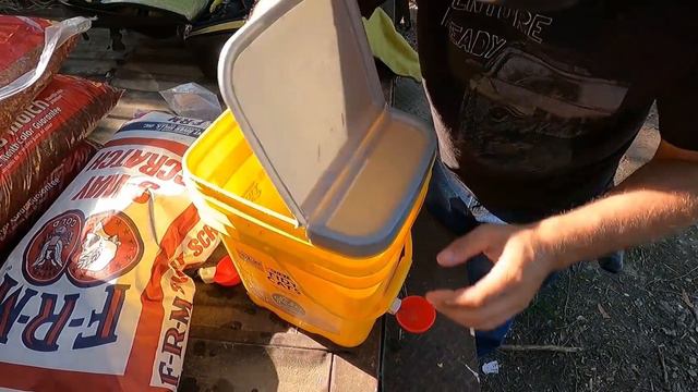 Budget Chicken Waterer (Guinea Fowl and Roosters Arrive at 140 Year Old Farm) смотреть онлайн