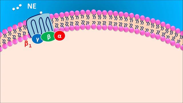 Propranolol tablets & capsules | Beta blocker смотреть онлайн