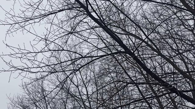 4 февраля народный праздник Тимофеев день. Что делать нельзя. Народные приметы и традиции. смотреть онлайн