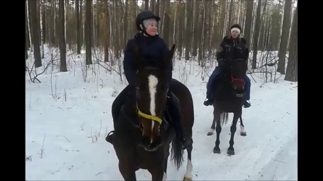 Конные прогулки. Озеро Балтым. смотреть онлайн