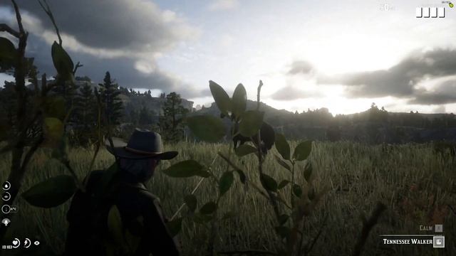 The BEST Red Dead Redemption 2 Roleplay SERVERS on REDM! (2022) смотреть онлайн