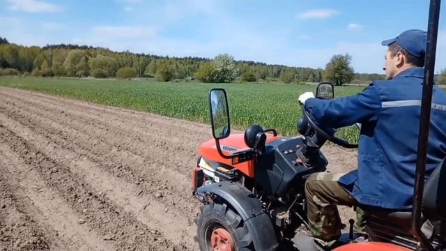 Минитрактор МТЗ 112н-01. Картофелесажалка KERLAND. Посадка картофеля.#минитрактор #KERLAND #мтз смотреть онлайн