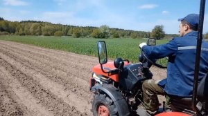 Минитрактор МТЗ 112н-01. Картофелесажалка KERLAND. Посадка картофеля.#минитрактор #KERLAND #мтз