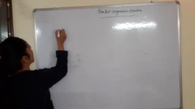 Project Organisation Structure смотреть онлайн