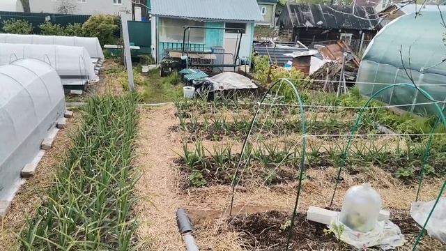 Сетка затеняющая - для теплицы и забора. Огородная текучка - подвязка, полив, готовим грядки. смотреть онлайн