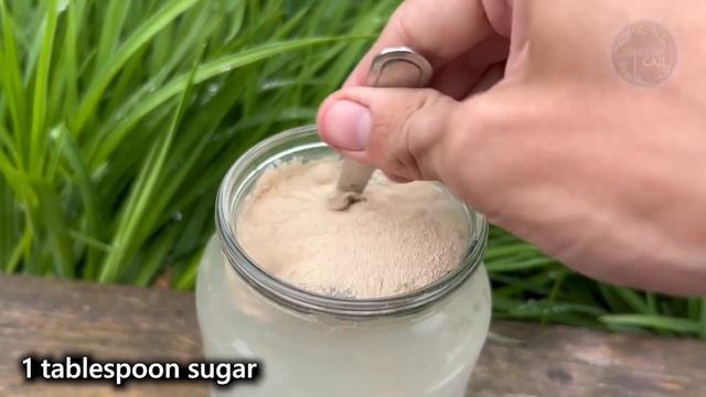 Первая очень важная подкормка огурцов! Сразу пойдут в рост и дадут большой урожай! Полейте этим. смотреть онлайн