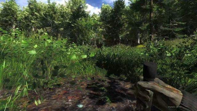 Bora caçar em settler creeks смотреть онлайн