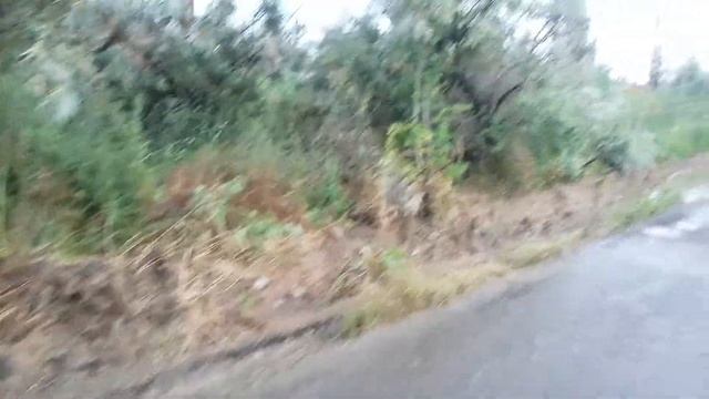 затока, цветение лоха серебристого) смотреть онлайн