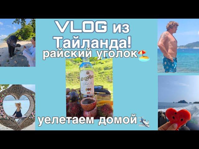 VLOG из Тайланда! Улетаем домой/нашли райский пляж ☀ смотреть онлайн