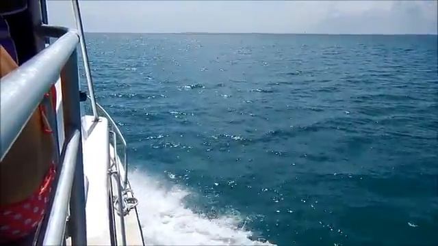 MARVET Cayman 2013 смотреть онлайн