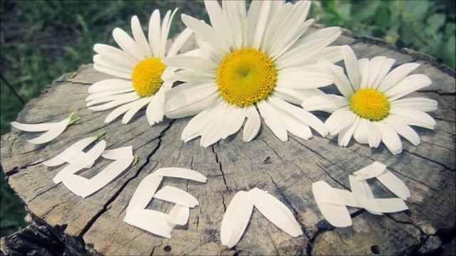 На ромашке я гадаю смотреть онлайн