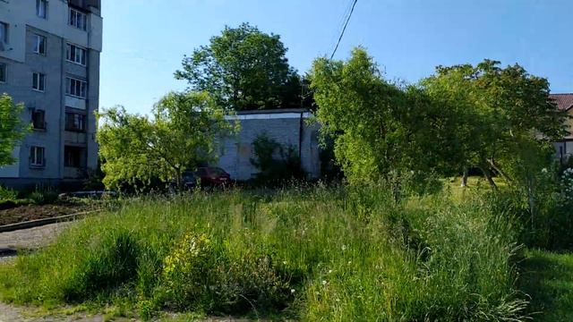Де засмагати і купатися в Моршині: міський став 6 червня 2021 р. Озеро Моршин смотреть онлайн