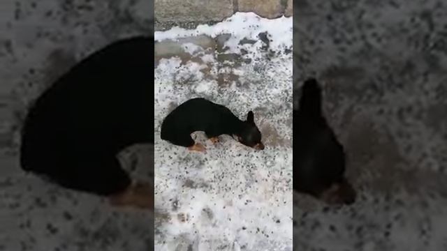 Ноги замерзли смотреть онлайн